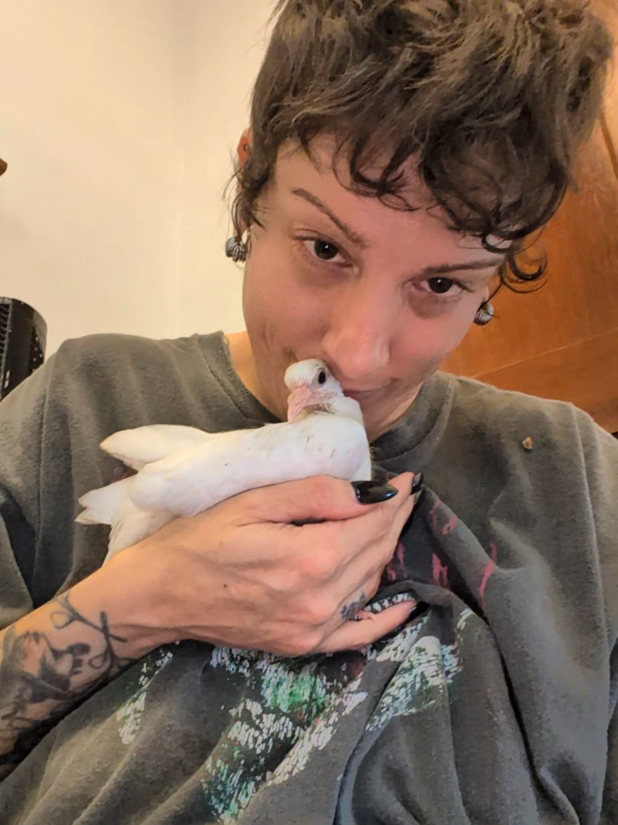 @Pigeons for Miles 🕊️