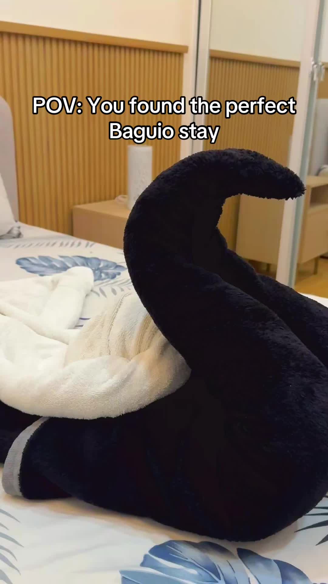 @BaguiotransientCedarpeak