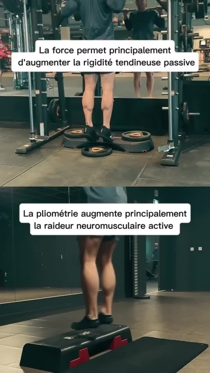@Sacha Coyaud