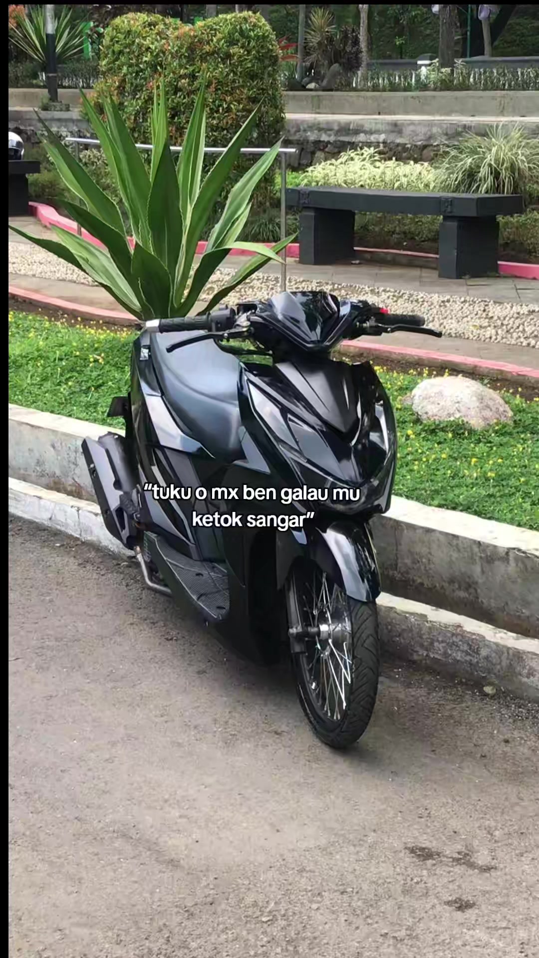 @Vnz💥