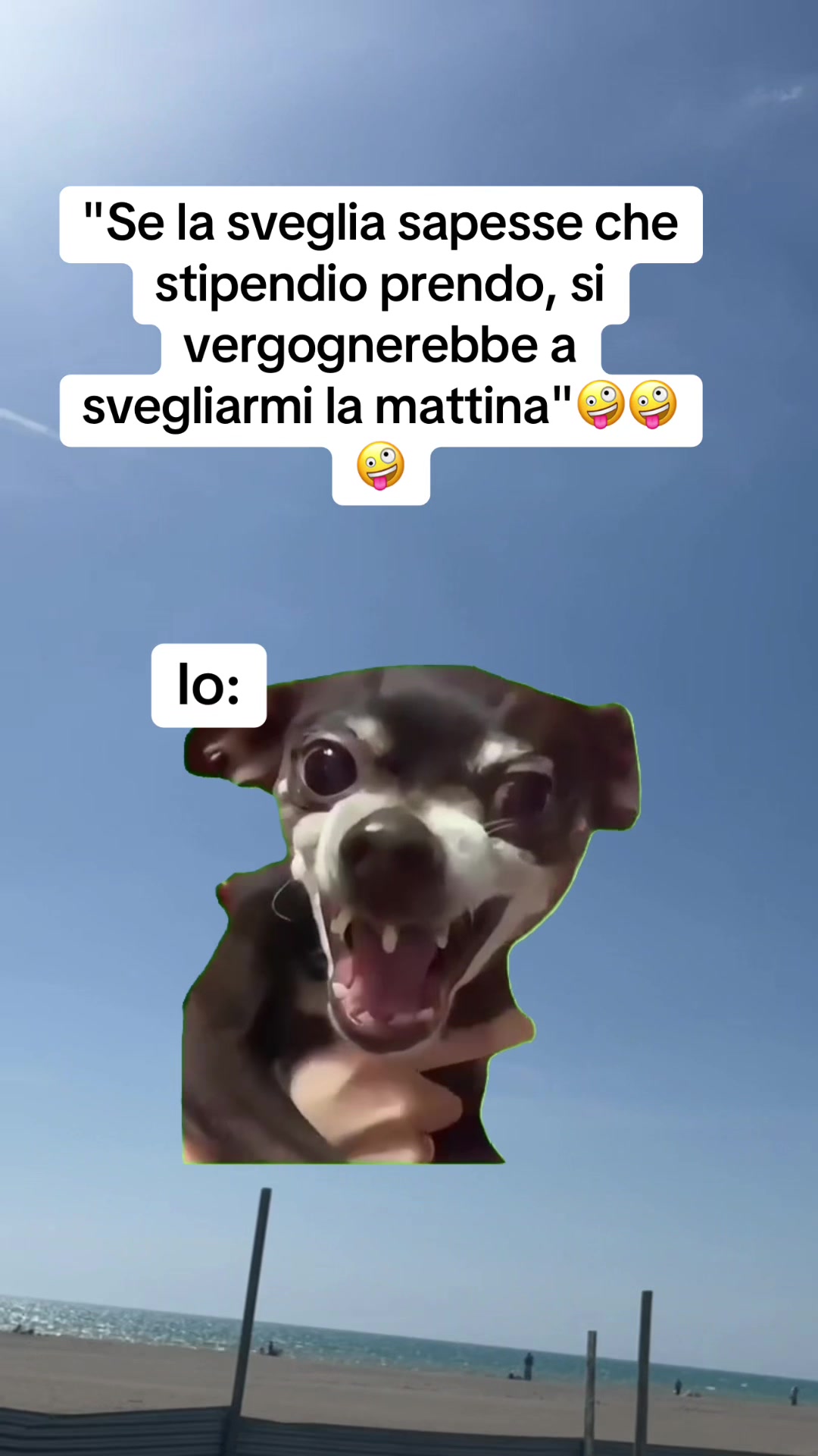 @LOLSempre😜😜