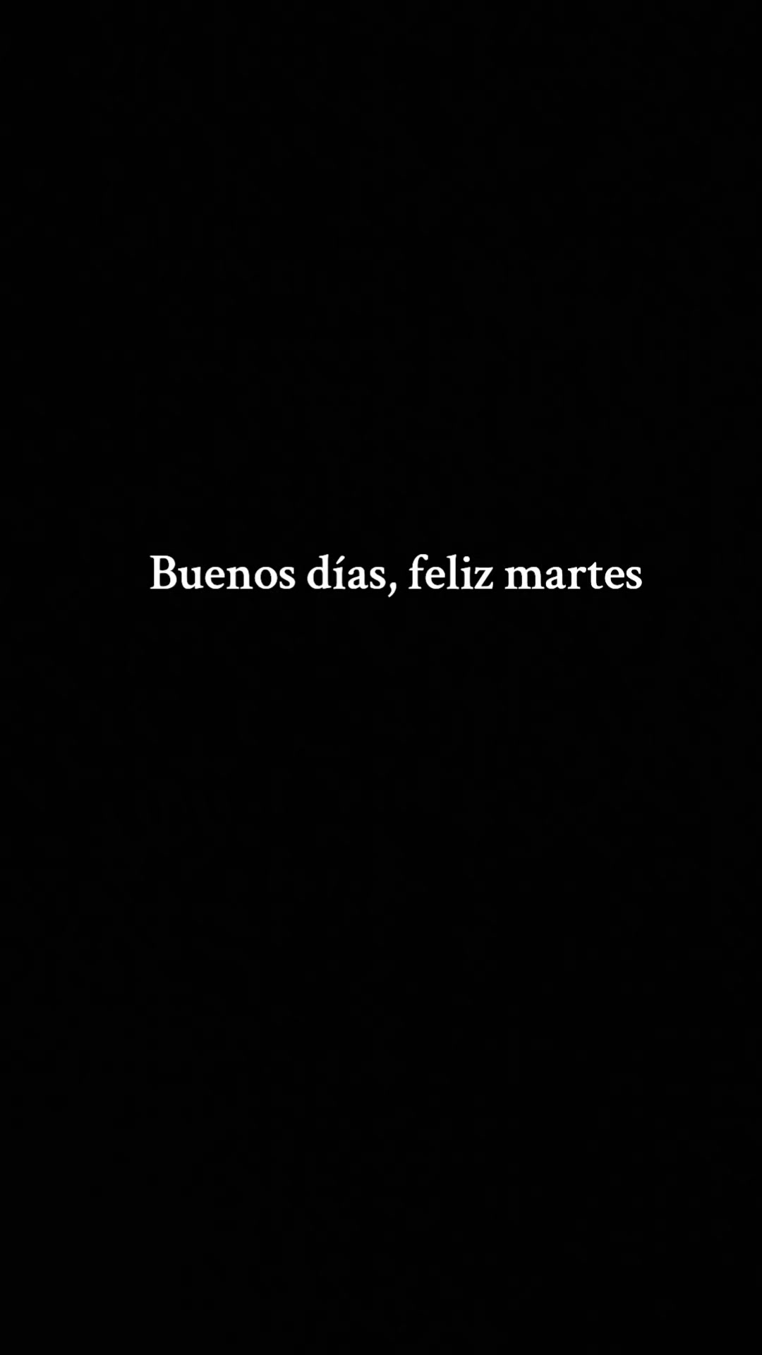 @Antonio502