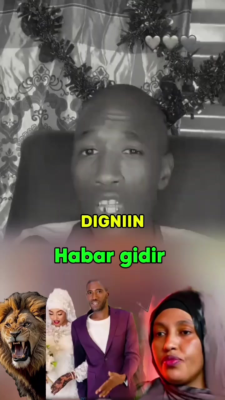 @cirshidawi