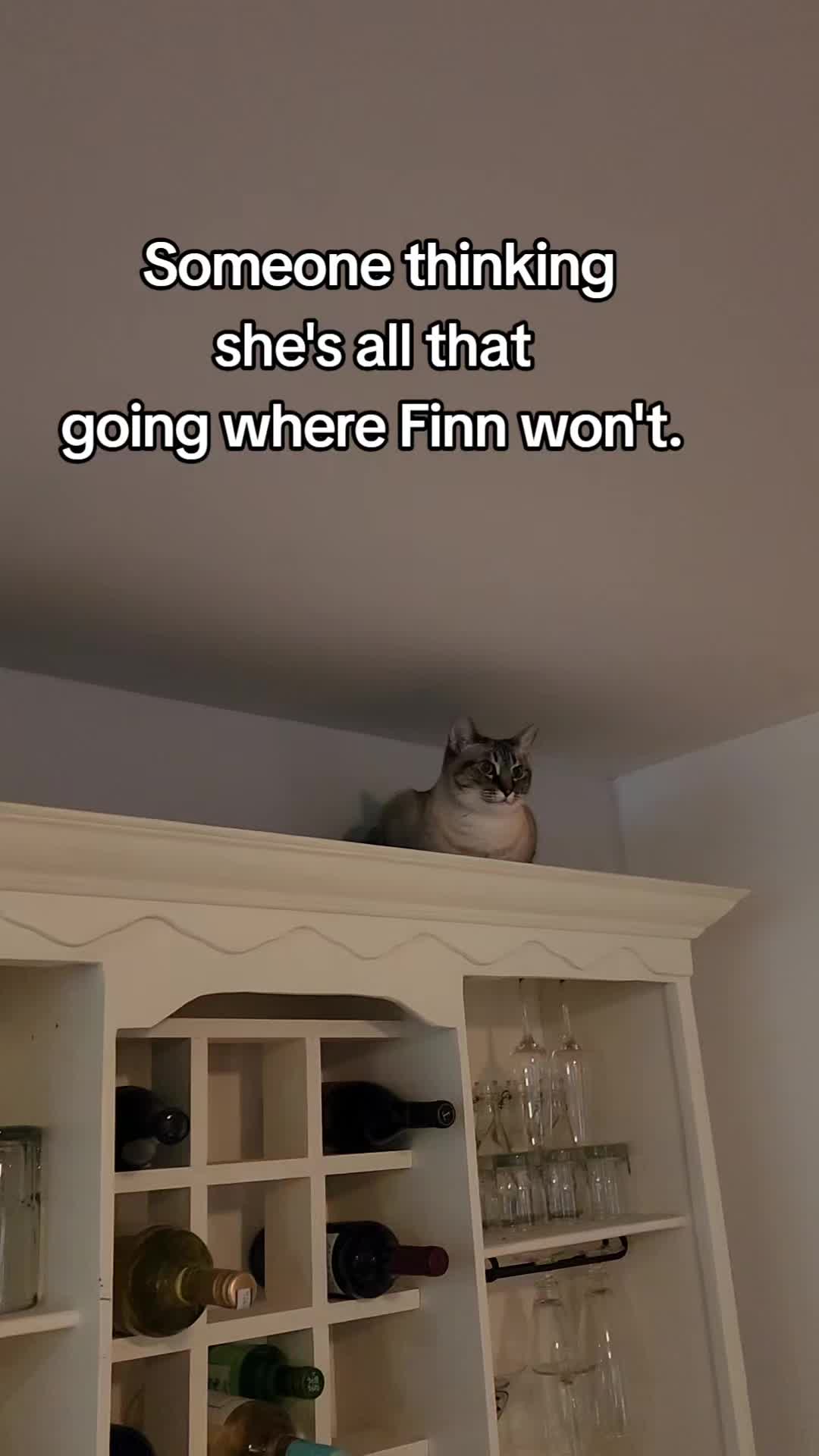 @Ayla,River,&Finn