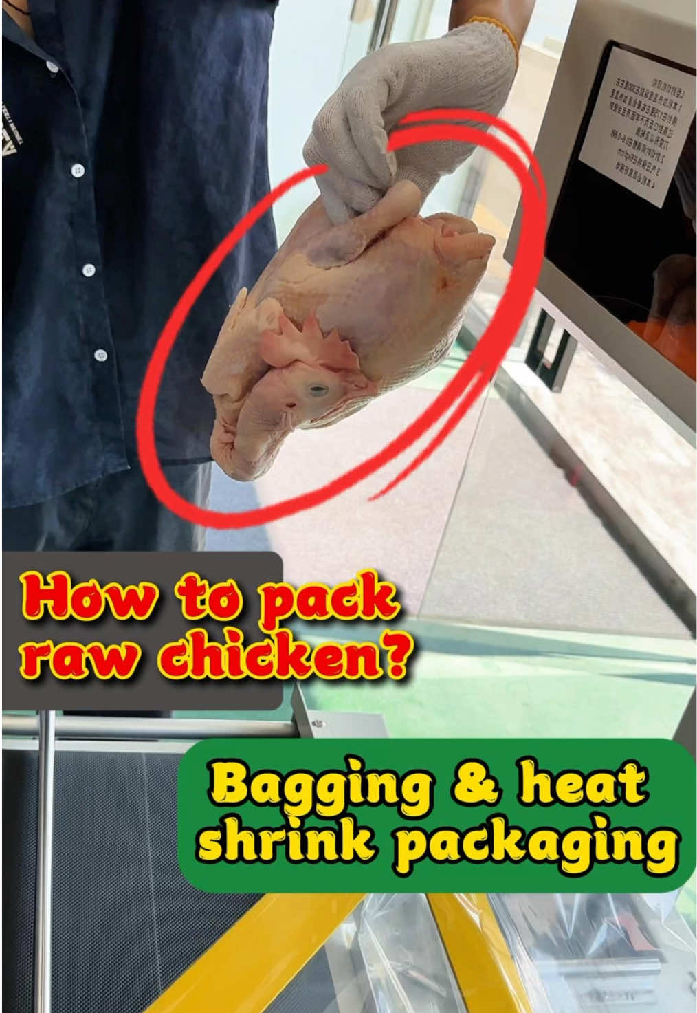 @PackagingMachinery-Sunny