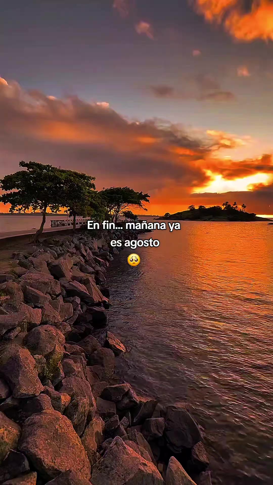 @FRASES🧃