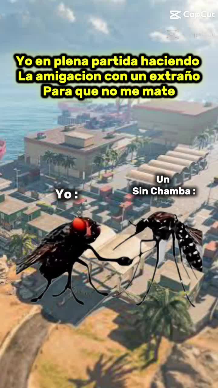 @REY black