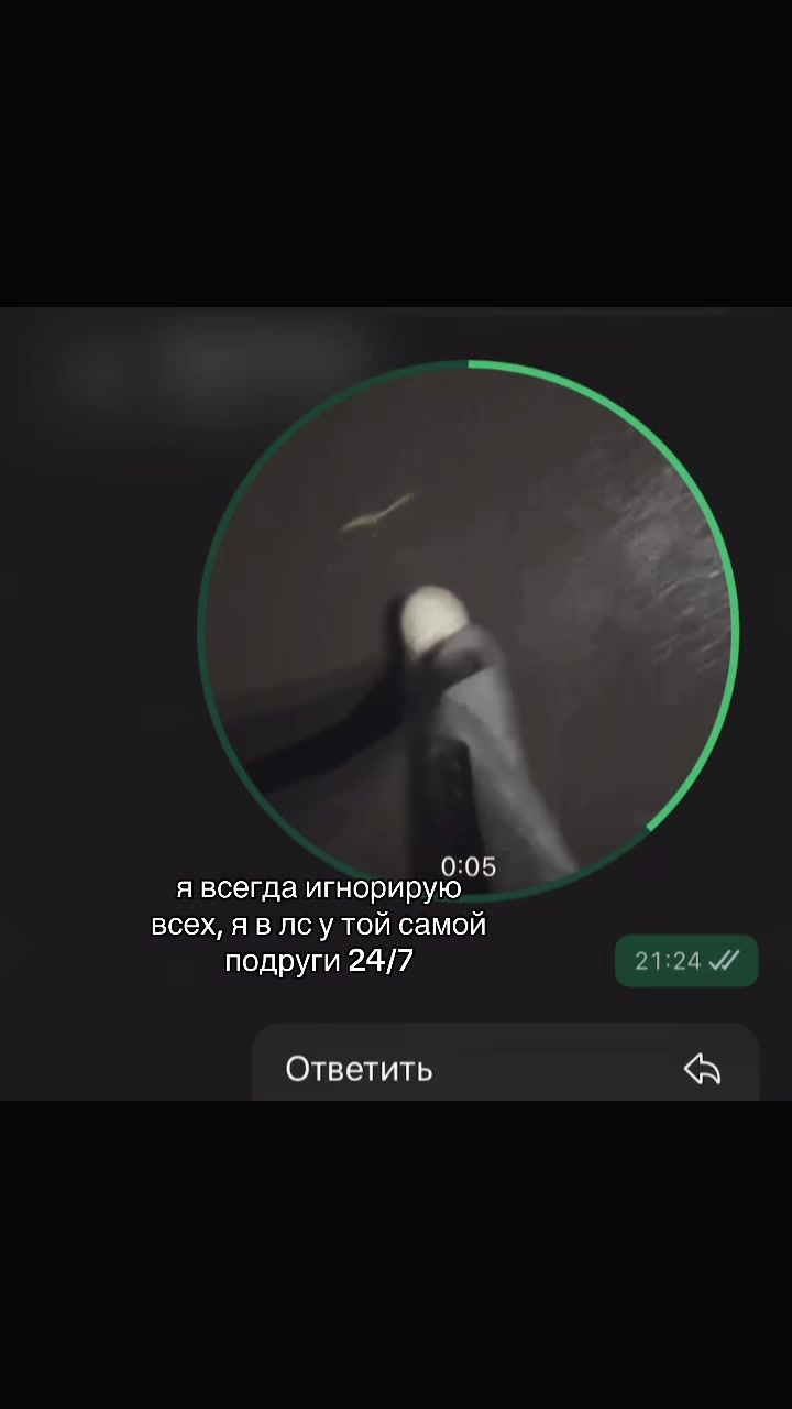 @ками⌖