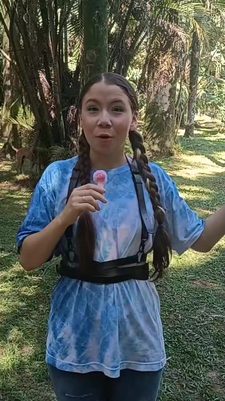 @Viih Chan