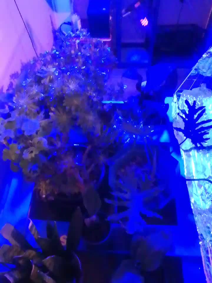 @Uthinkithot_Capcut organic