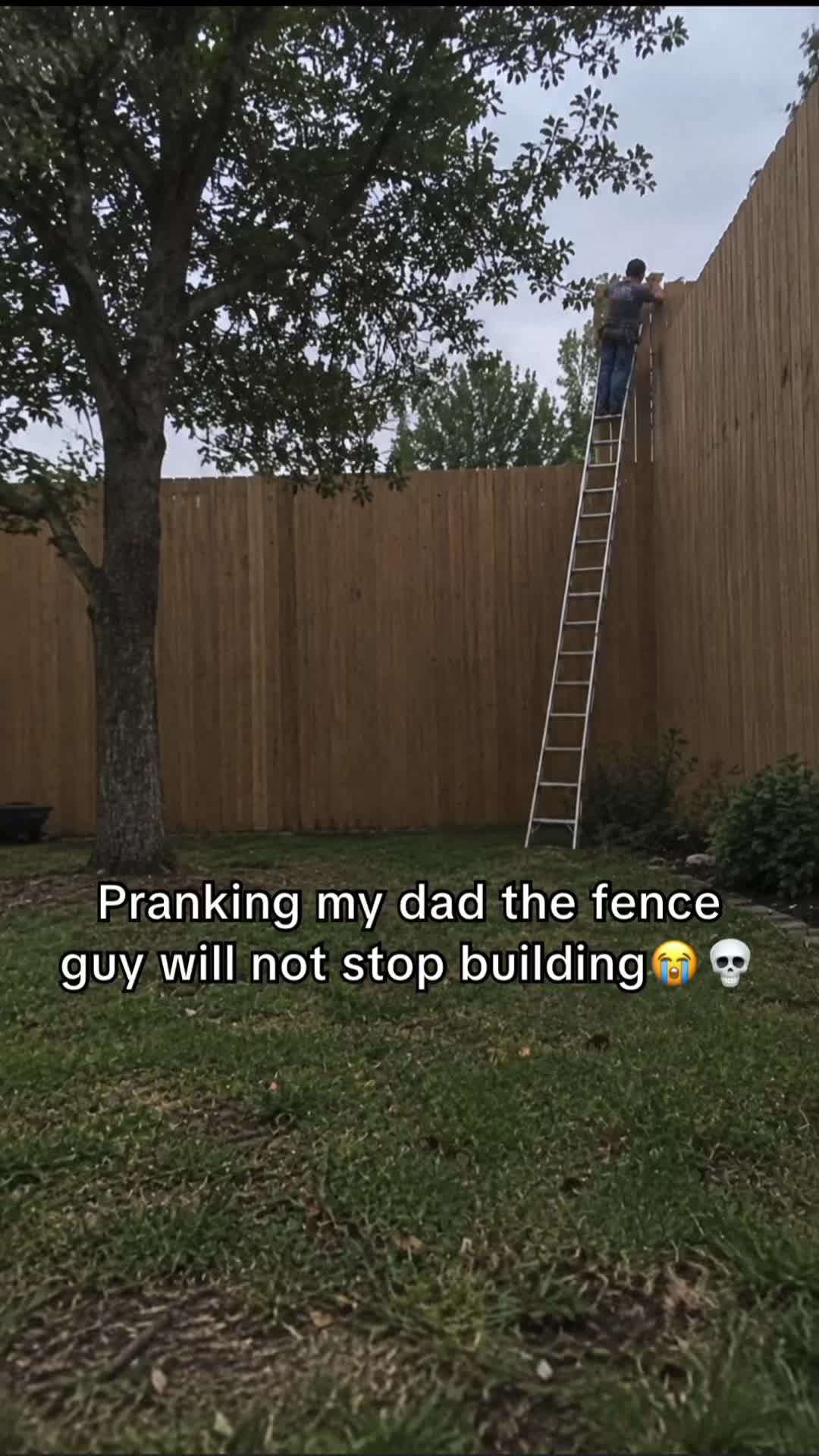 @Noah