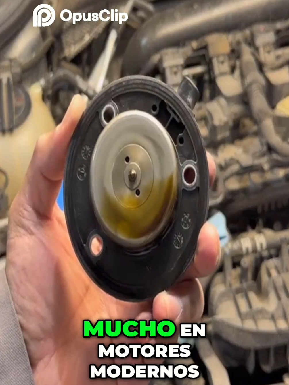 @Vela Garage