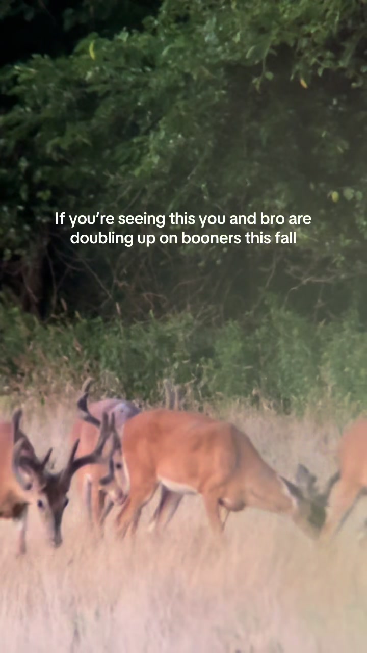 @Moultrie