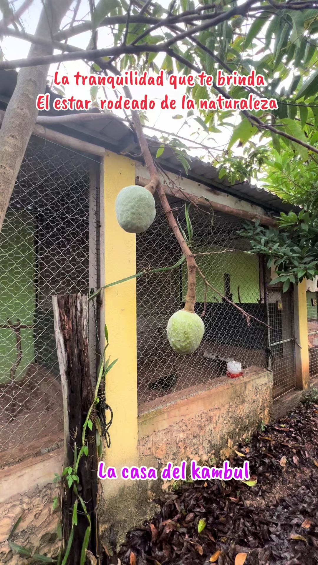 @La Casa Del Kambul