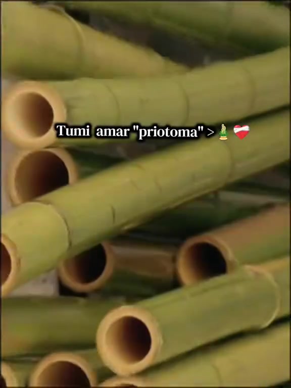 @๐บโชฉโชจ ๐ด๐๐๐๐๐ โชฉโชจ๐บ