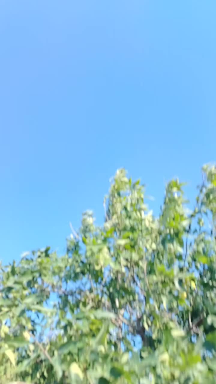@Tağıyev Röyal 🇦🇿
