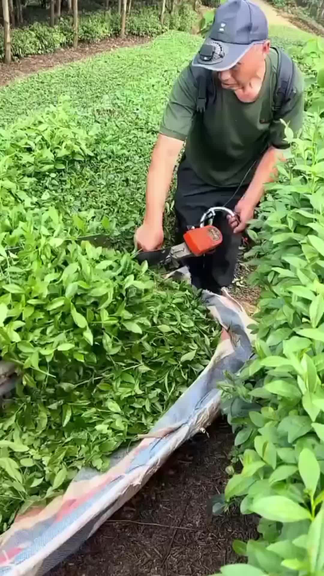 @Funny Prank, 🤣😂