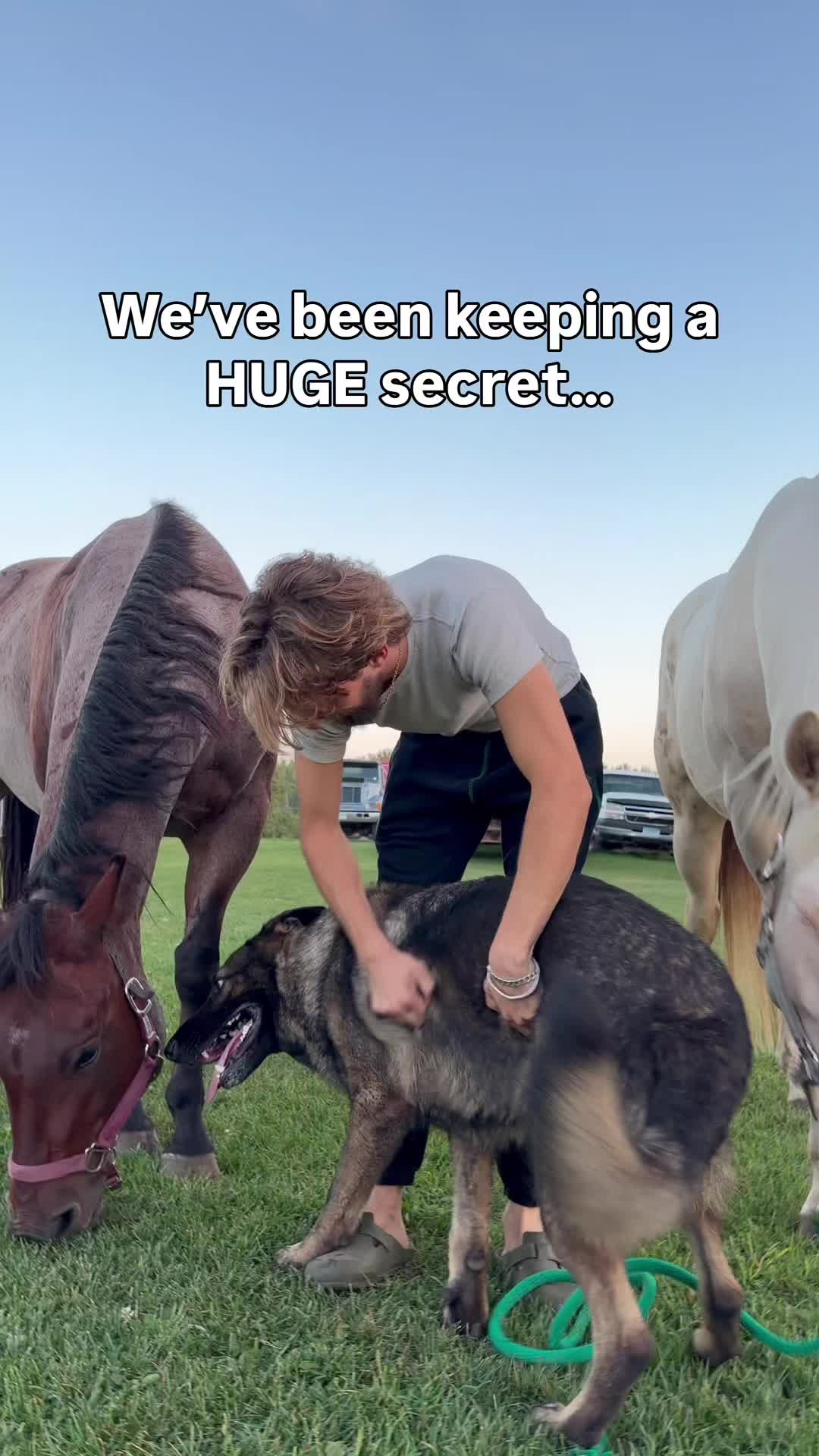 @CherryHoggs