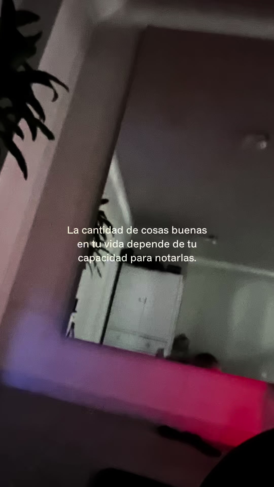 @Mirella Trejo