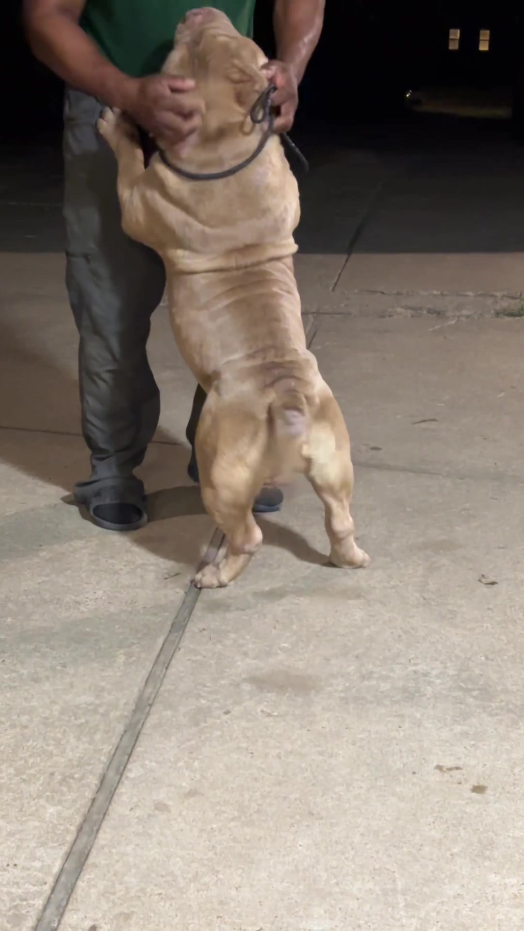 @Carters BullyHub