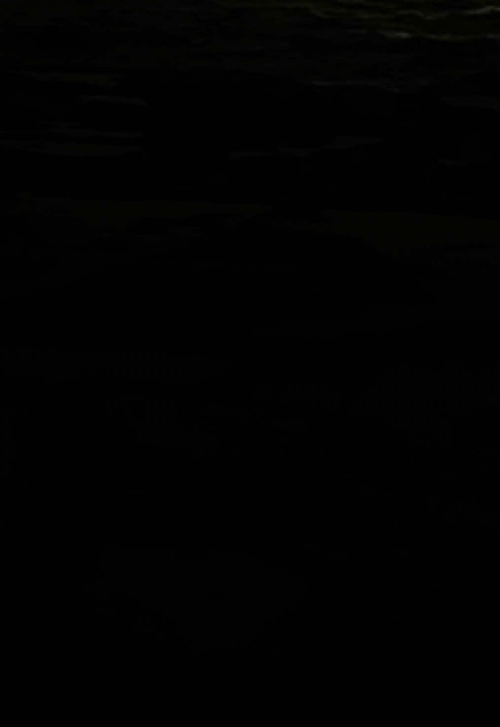 @~ɐqıH~