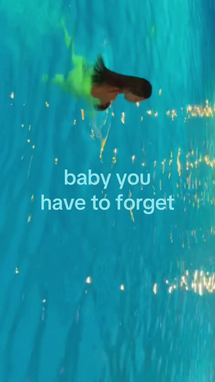 @Sofiiiiiberbieeee11111