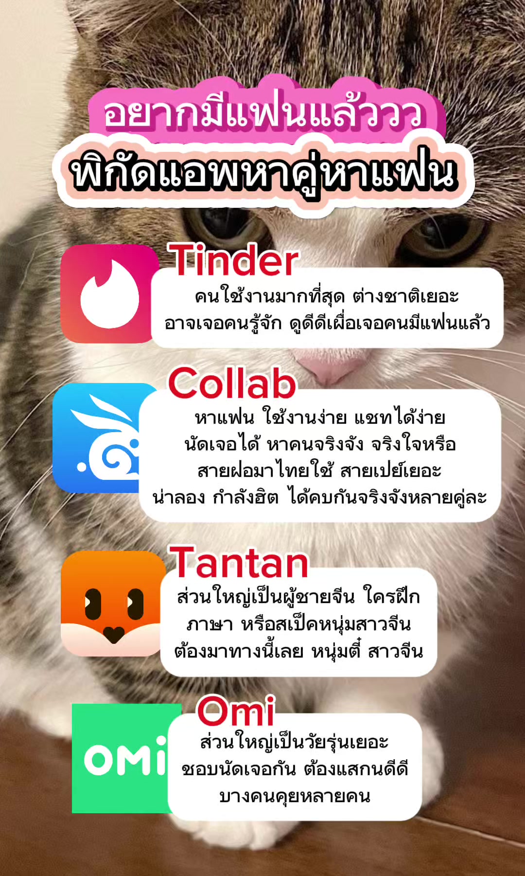 @Collab คนเหงา