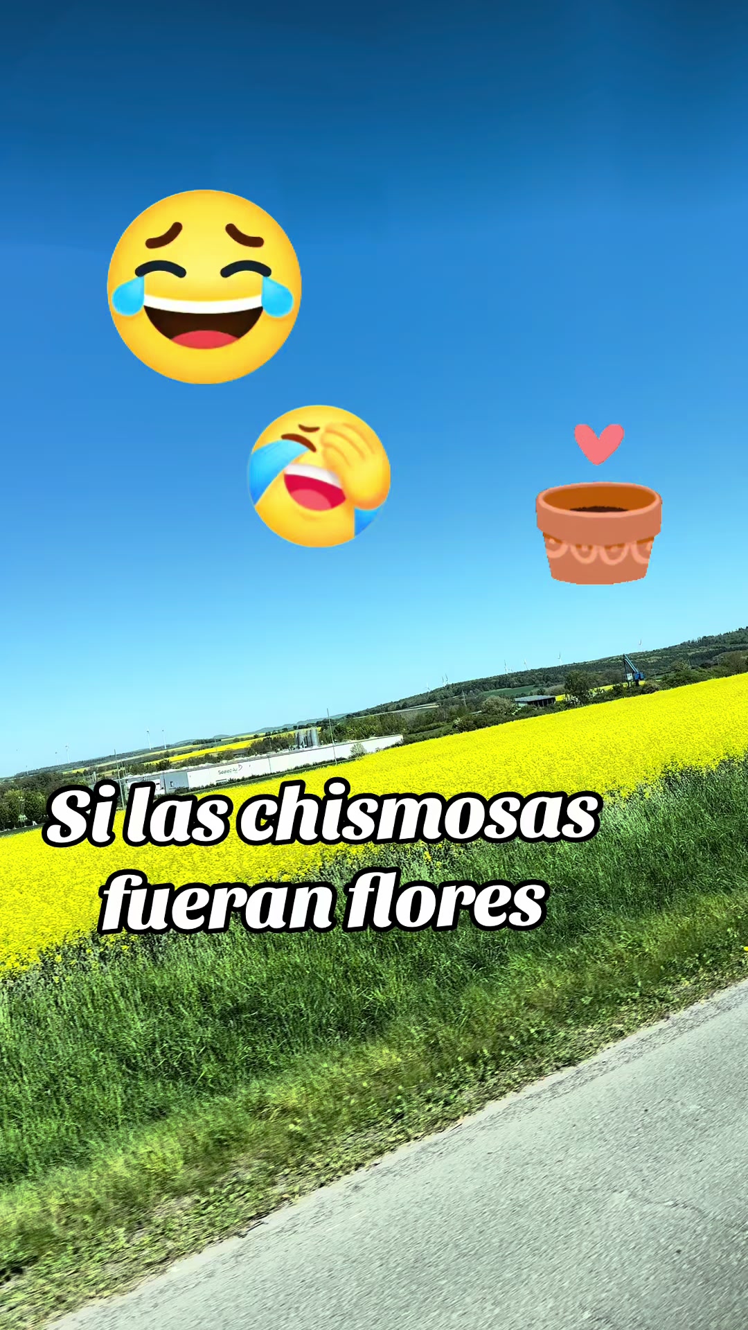 @Carina 💕🥰💕