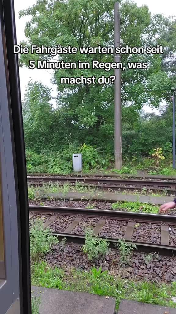 @Tramtastisch