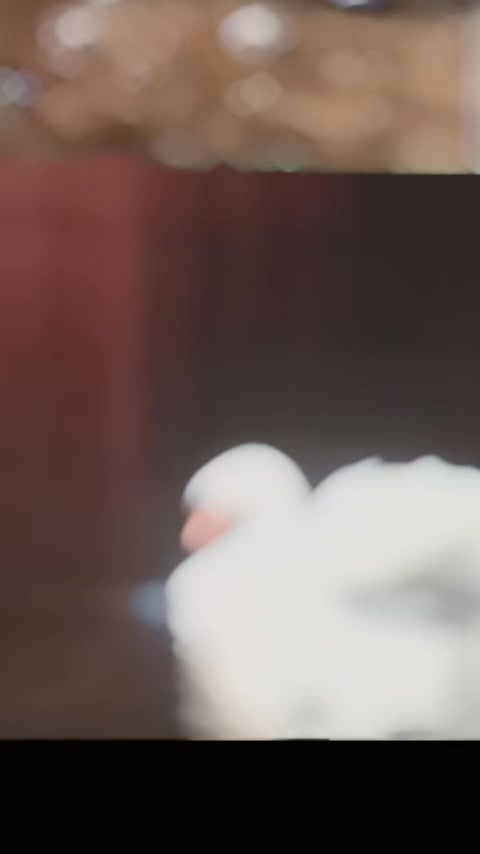 @Pyrxtw2