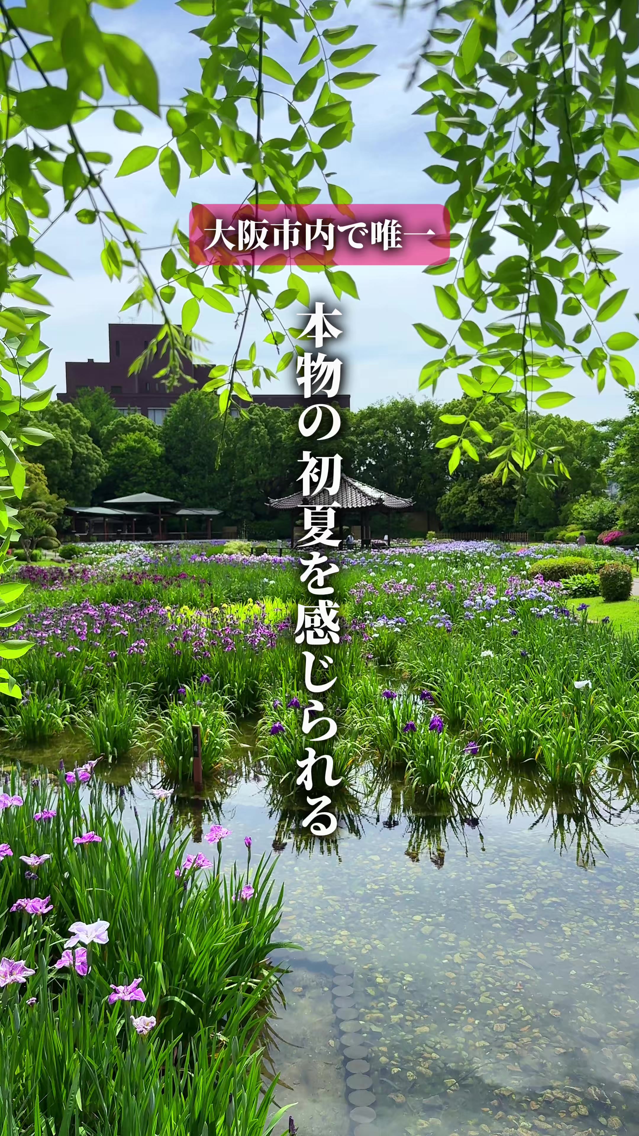 @ひろと / 大阪発！関西トレンド独占旅🔥
