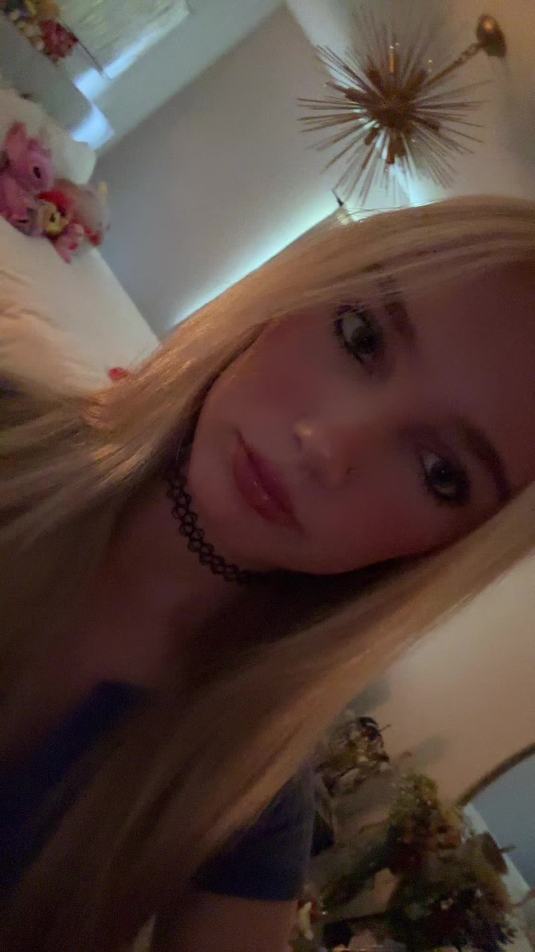 @stellontheweb6769