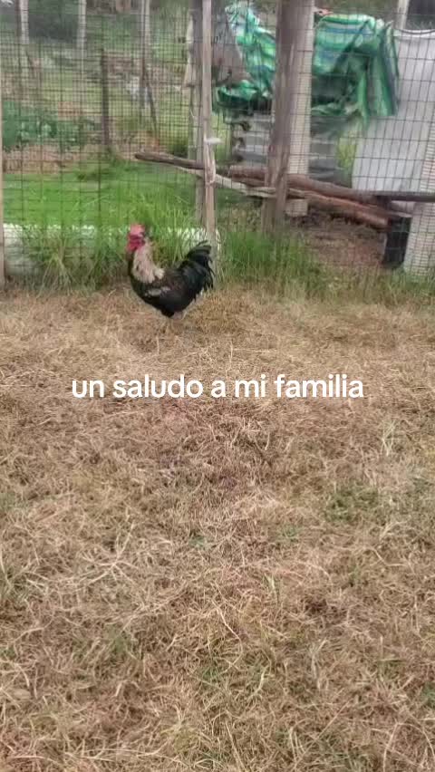 @HILDA