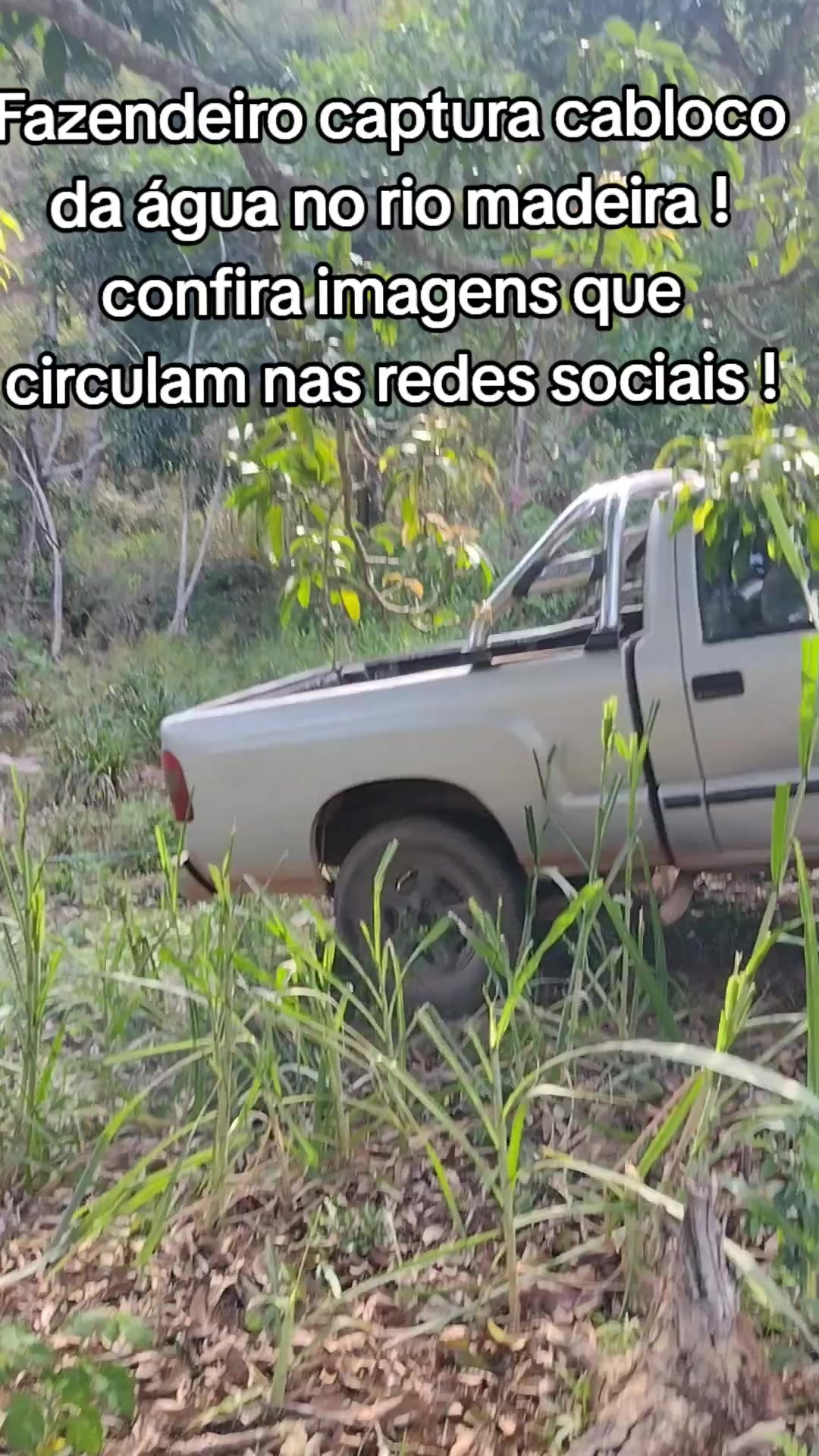 @Boiadeiro cuido !