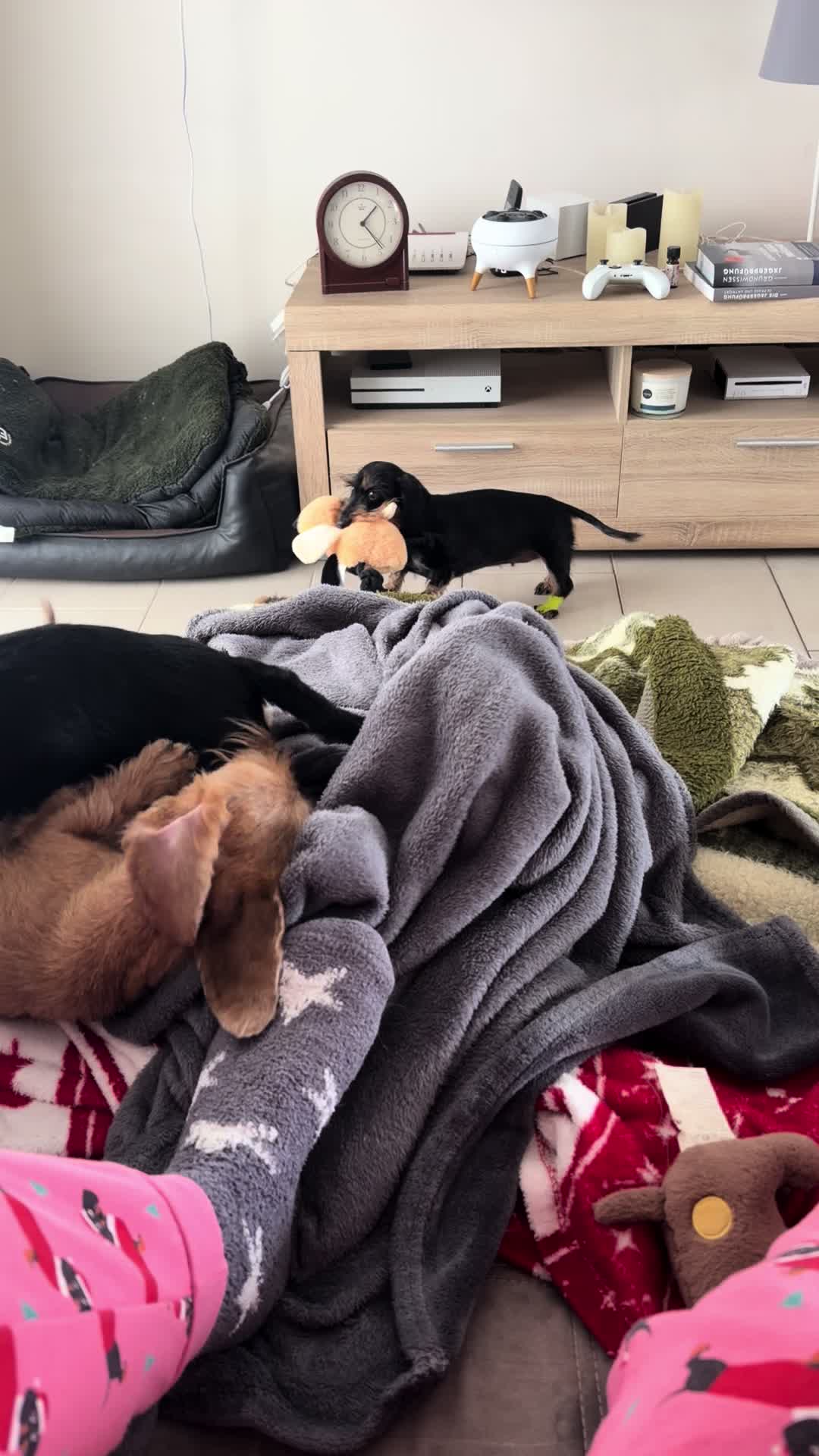 @v.d.Burgmannshöfen