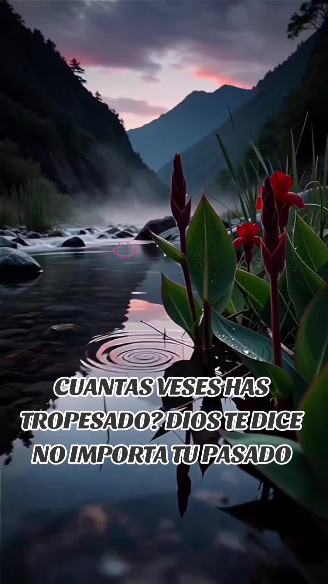 @EliMontoya