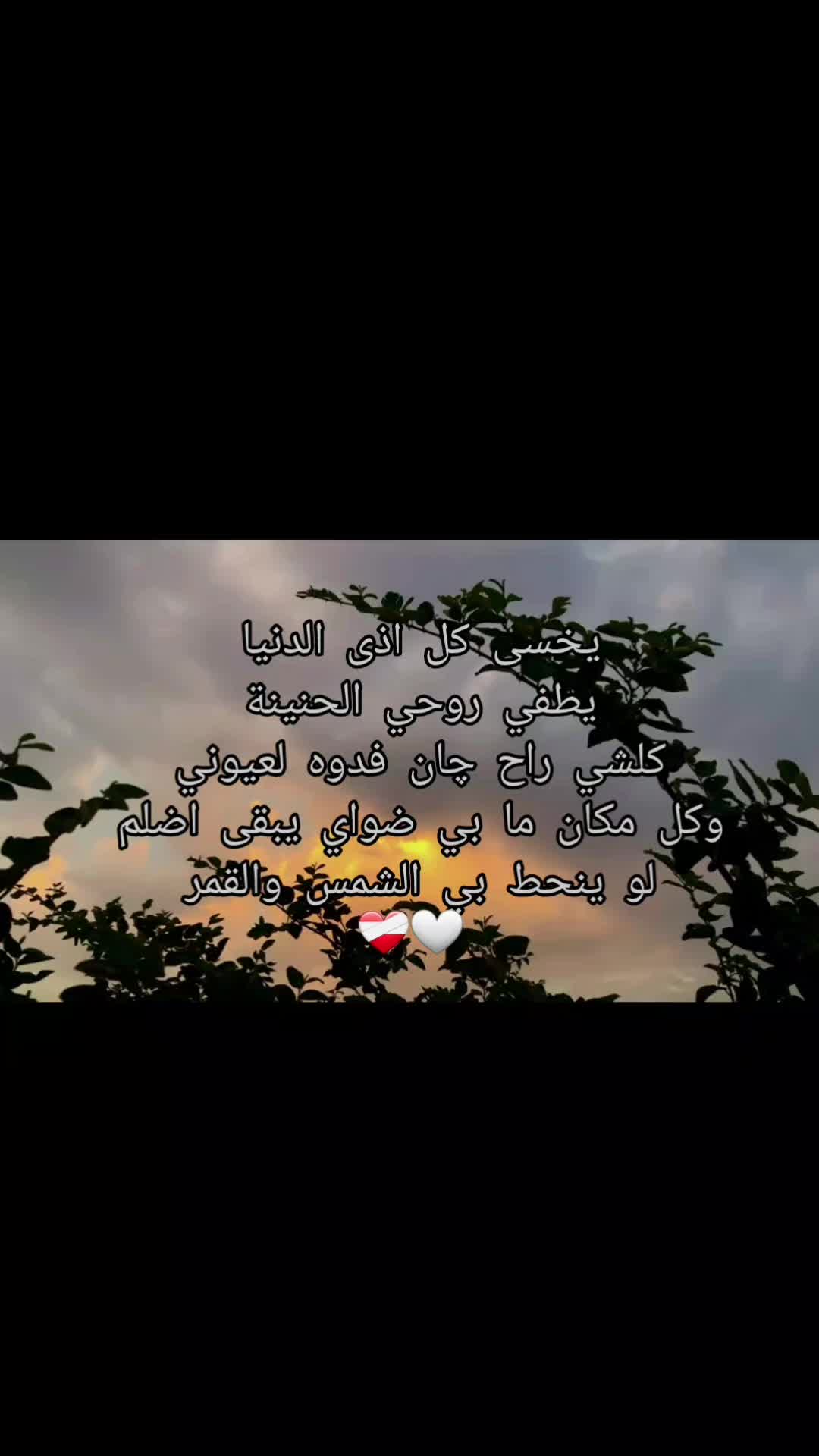 @مـهـﺟـة &sup3;&sup1;&sup3;