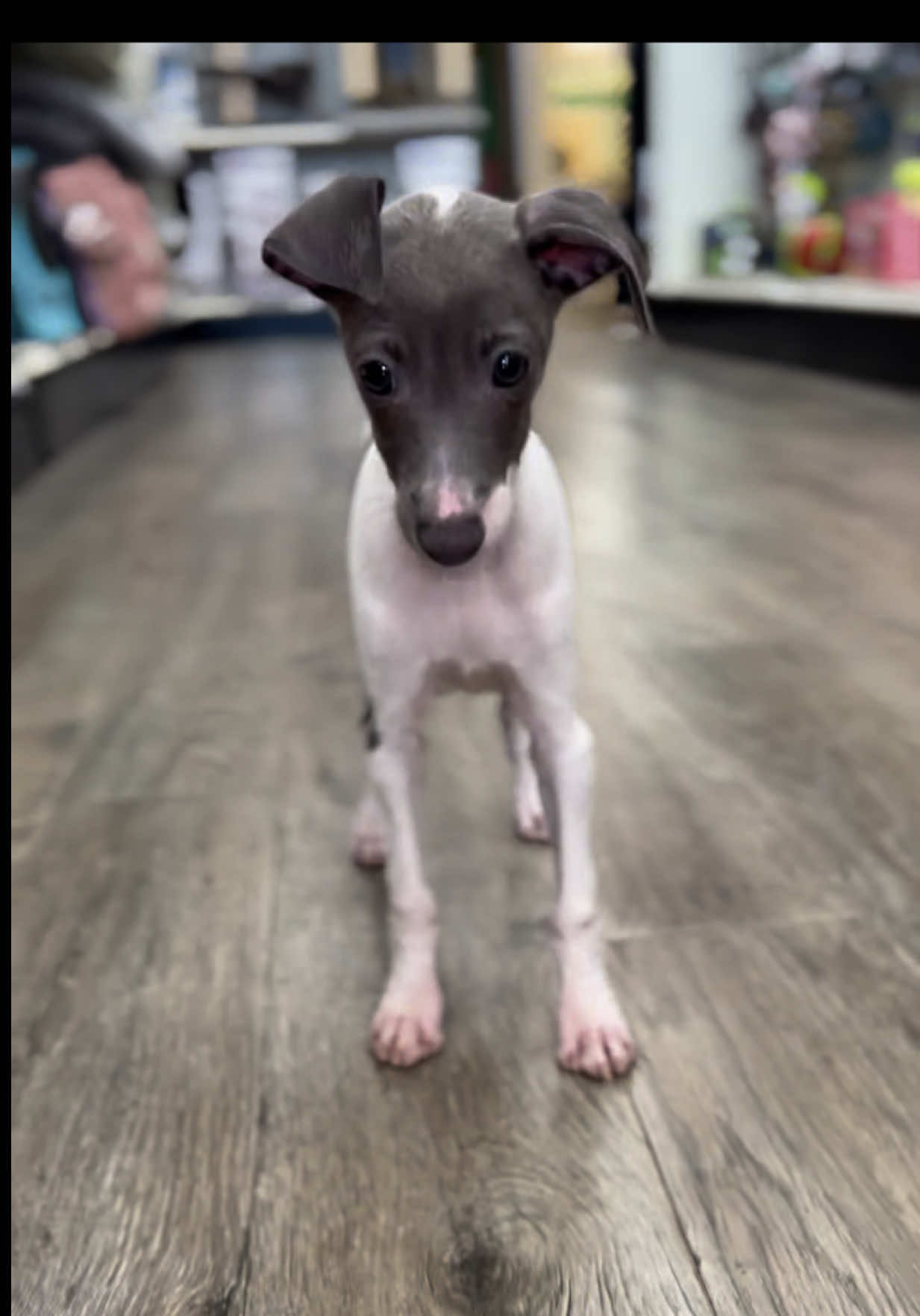 @Petland Oklahoma City
