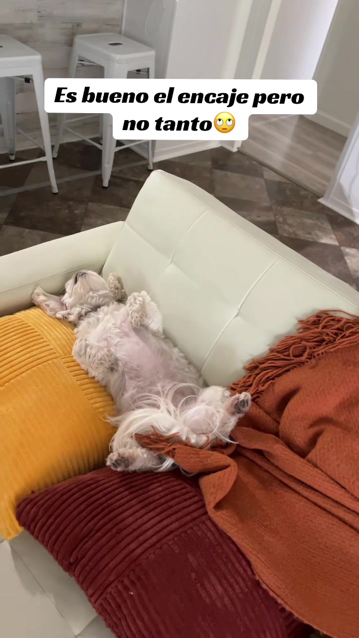 @AZUL🐶🥰