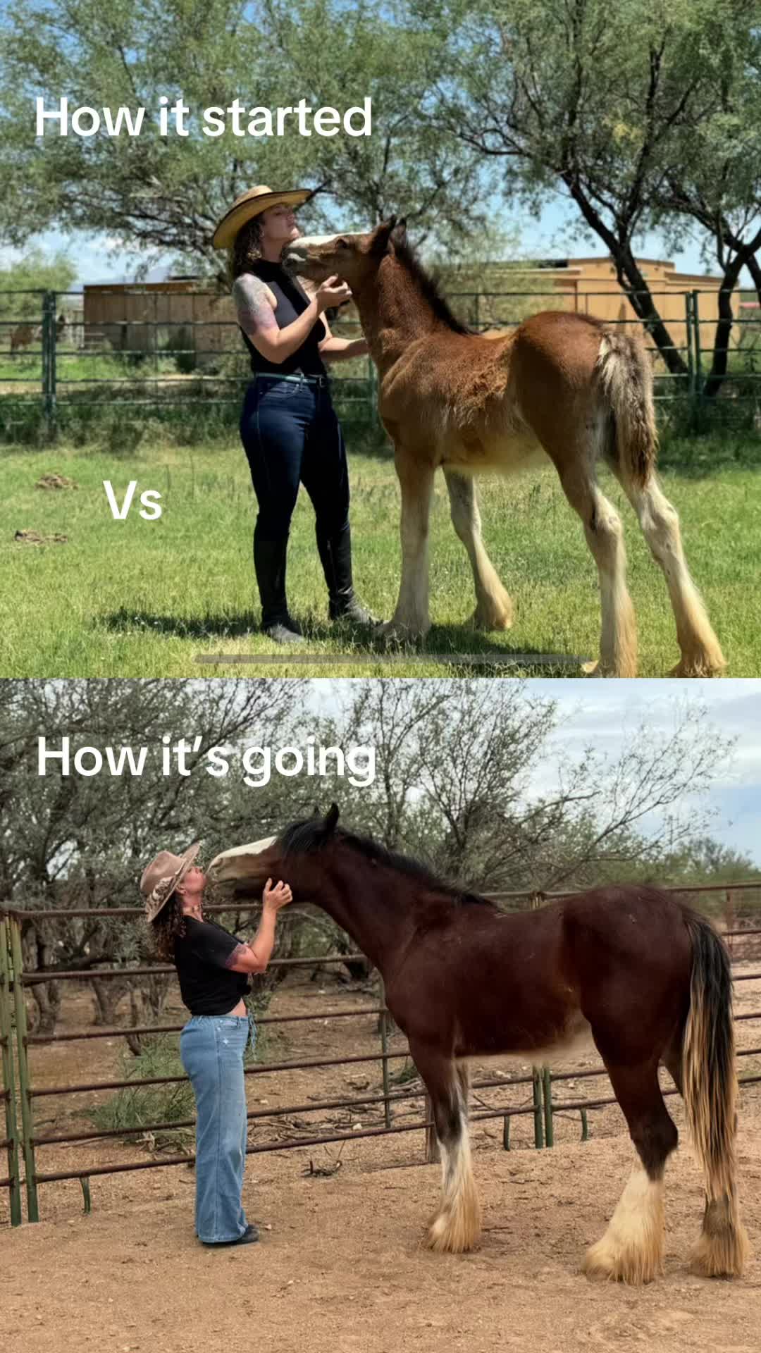 @Apache Powder Ranch