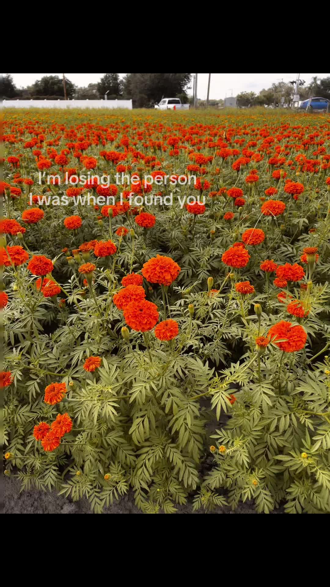 @ok
