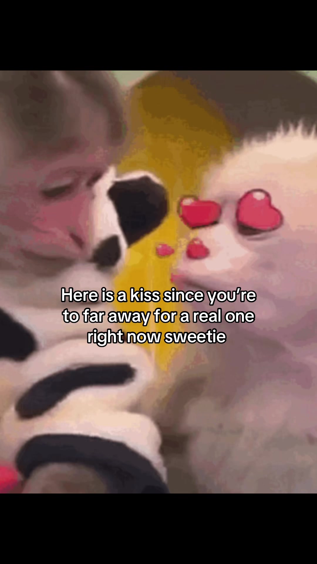 @Rocky