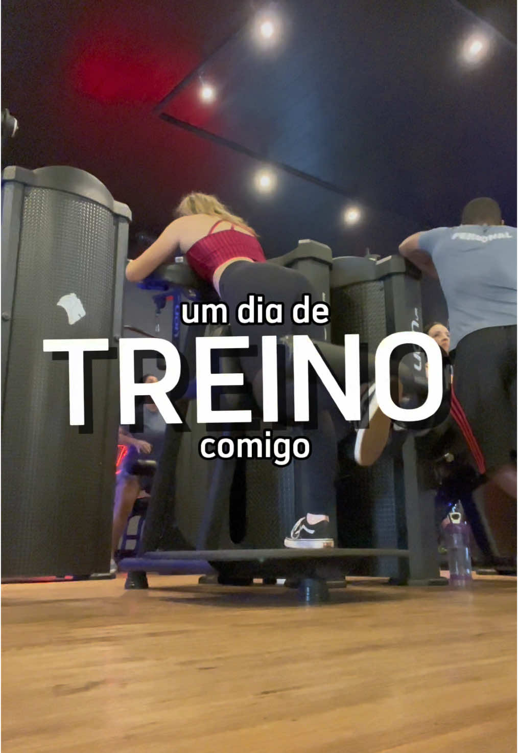 @ISA do circo 🎪