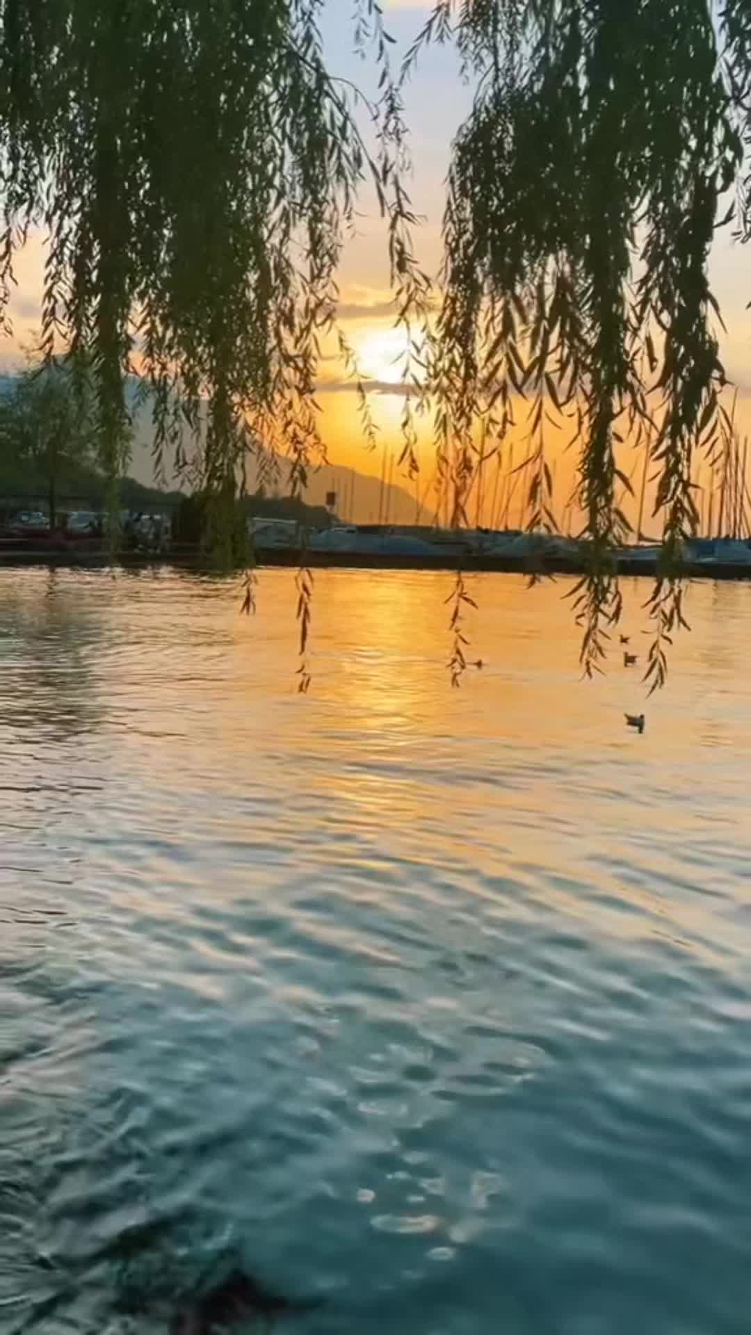 @musa bhai004