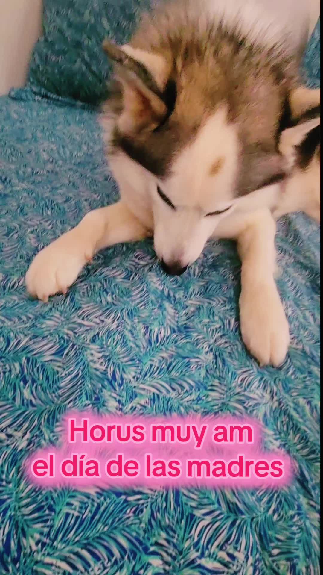 @Horus Antonio Cort&eacute;s Arias