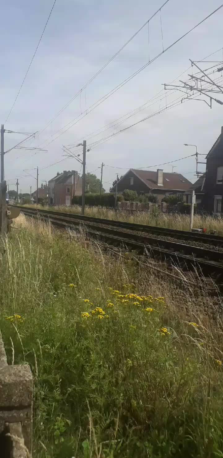 @passion_train_