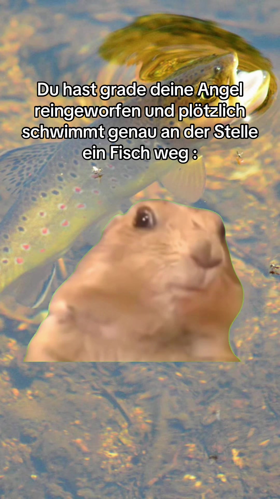 @fishingmaex