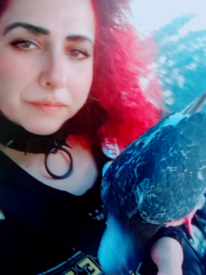 @Laleh Rashtian