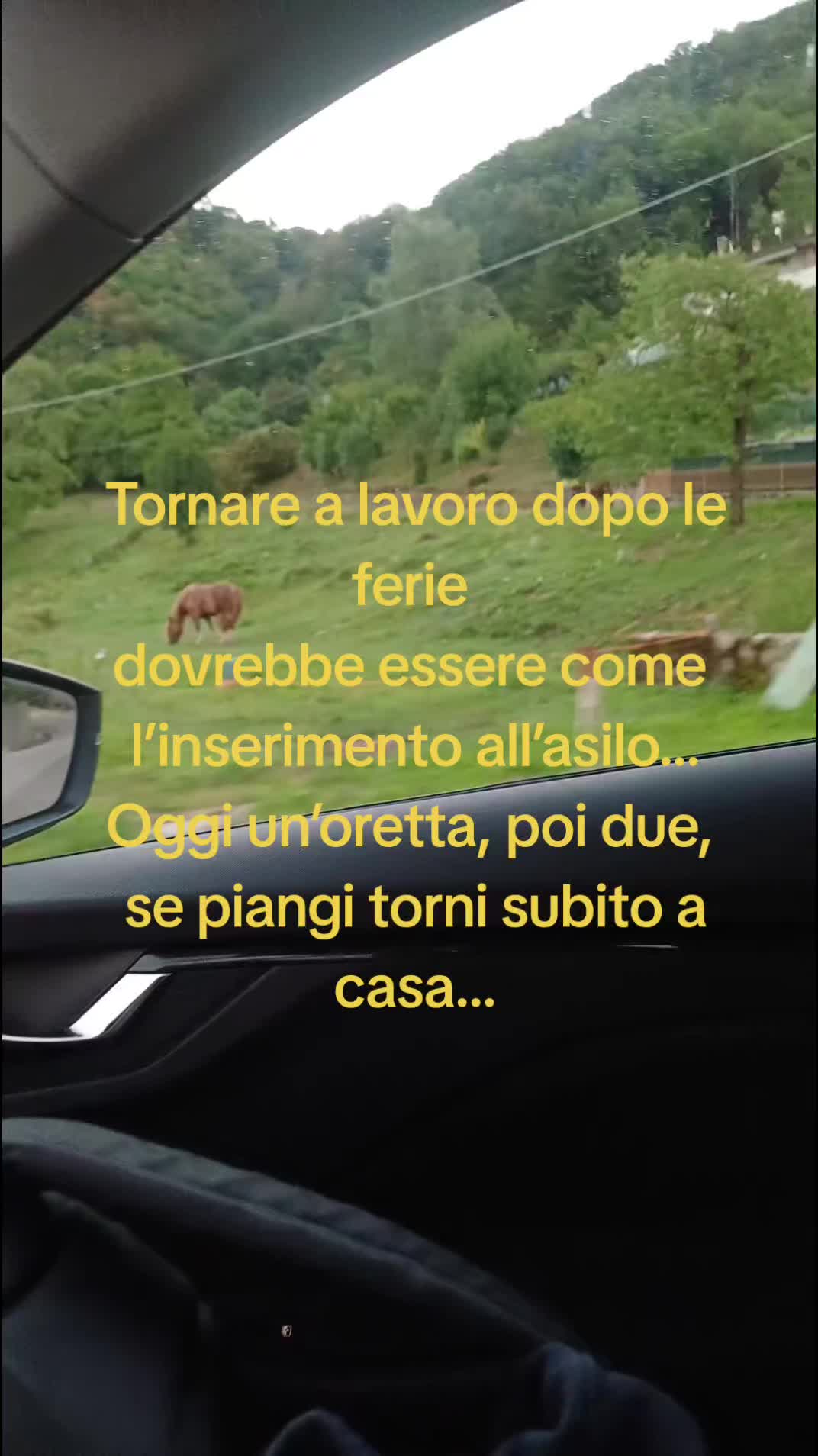 @vane