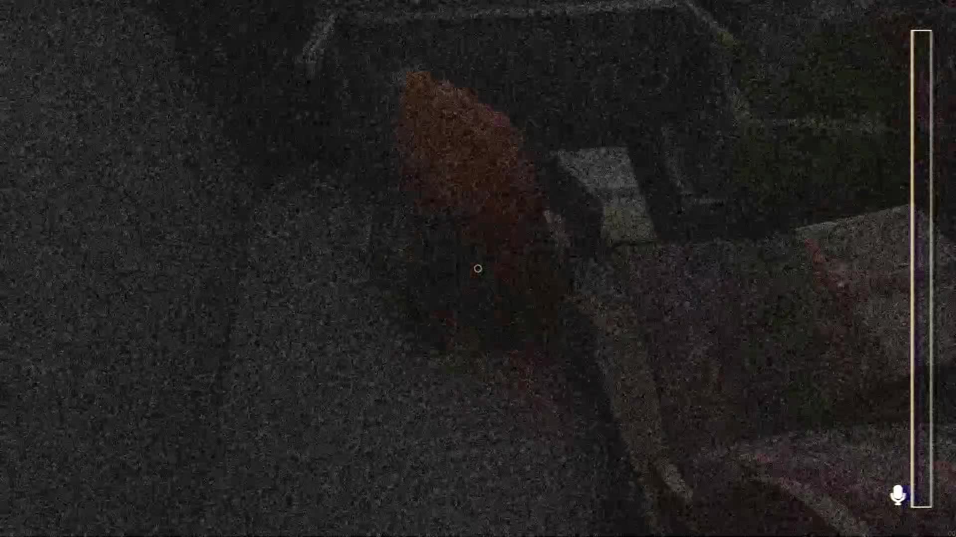 @vivokingsig